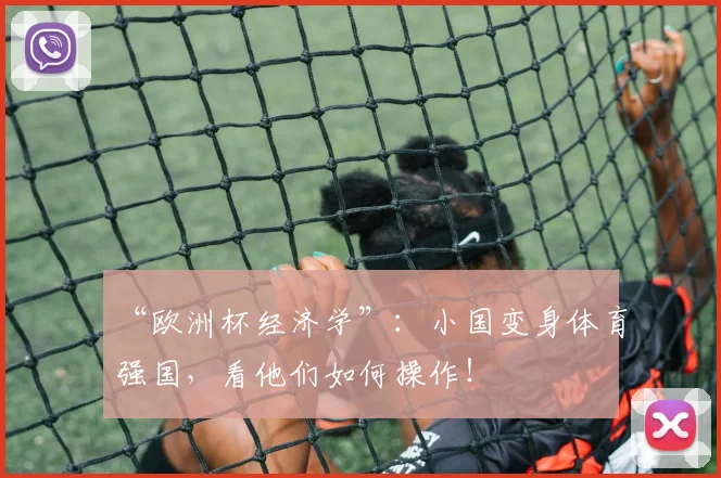 “欧洲杯经济学”:小国变身体育强国,看他们如何操作!