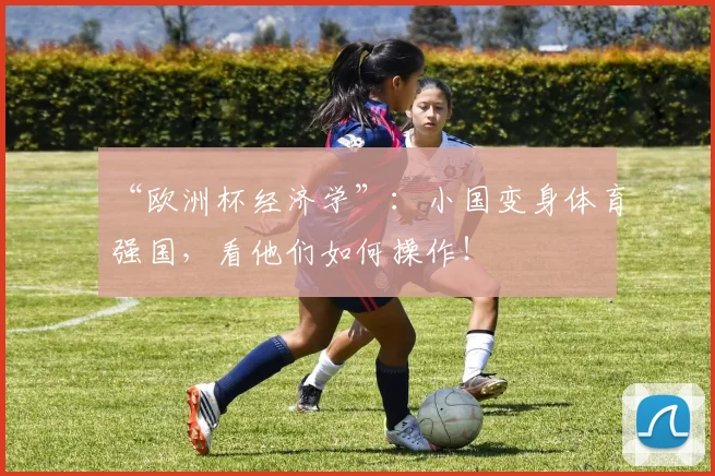 “欧洲杯经济学”：小国变身体育强国，看他们如何操作！